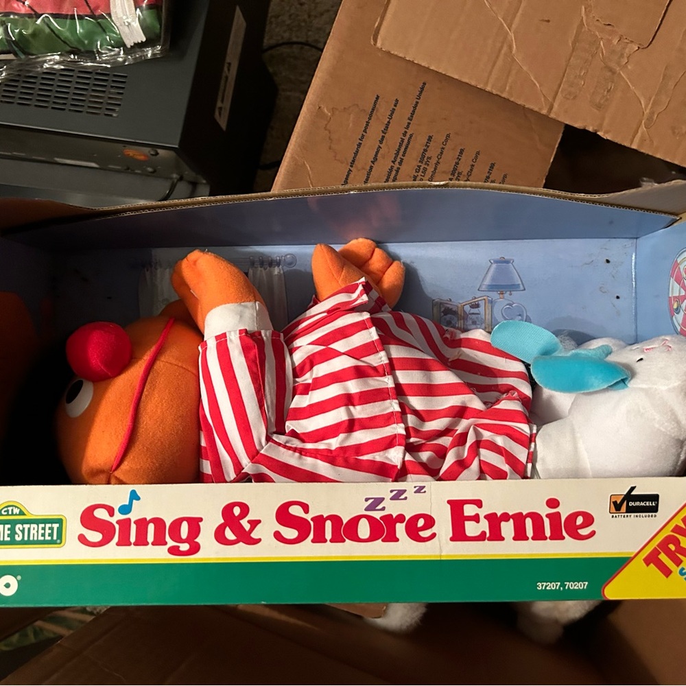 Elmo’s and Cookie Monster Ernie